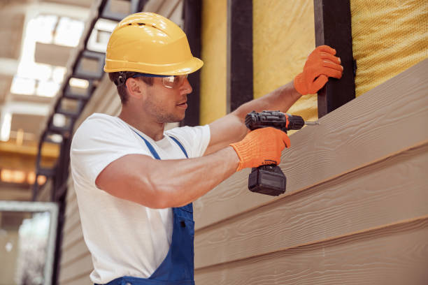 Best Aluminum Siding Installation  in Le Center, MN
